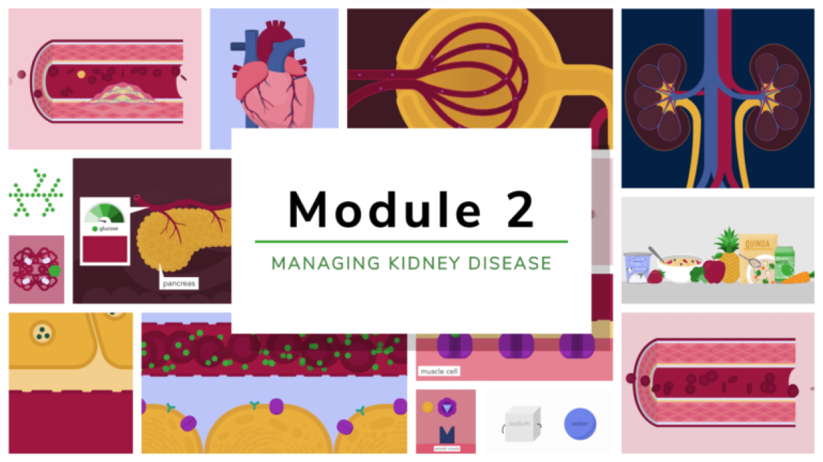 Kidney Disease Education Module 2 Managing Kidney Disease